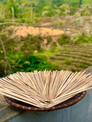 Đóm Châm Thuốc